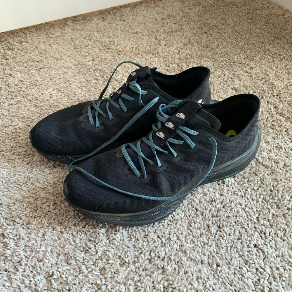 Nike Pegasus Turbo 2 (Black)